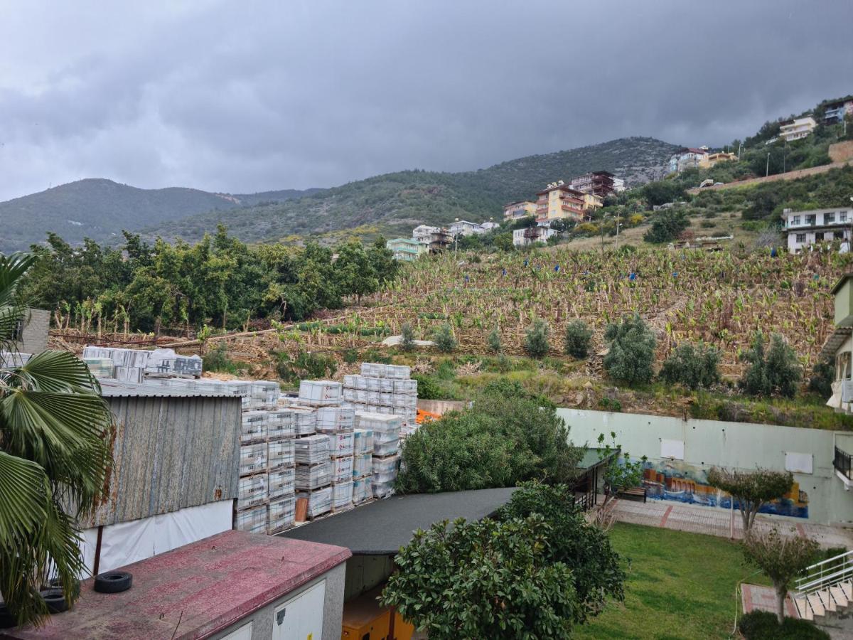 Kleopatra Sultan Rezidans Lejlighed Alanya Eksteriør billede
